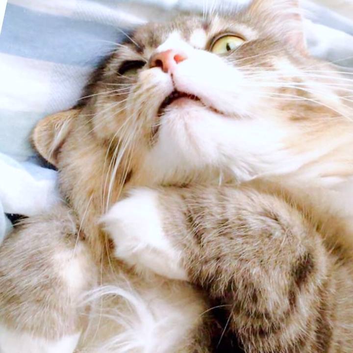 F5df5cda 80a1 4709 8f21 3890e03fbbe4 1519234579444