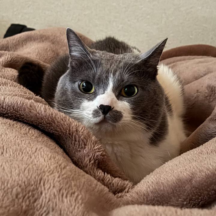 F5df6c91 324a 4cd2 acfd 8c3626cae28d 1772933611002