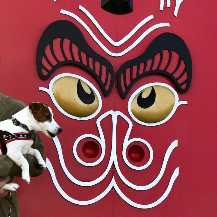 F5df6cfb 57f8 4574 9c9c 40f0a90d87f4 1672614753861