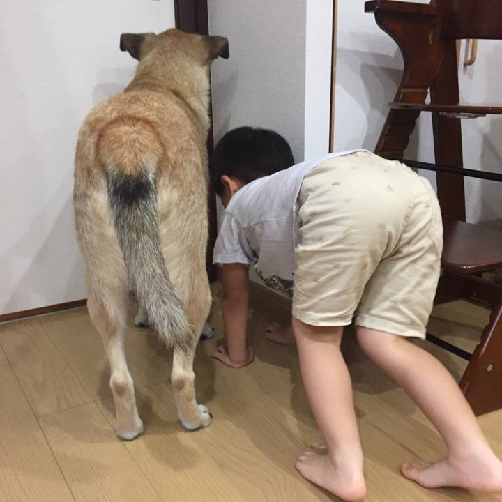 F5df9864 b374 4935 9f81 ffcc4989f9ec 1531549483950