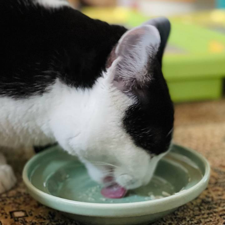 F5df9a56 9e01 4f81 af36 8b094e0704be 1643420593377