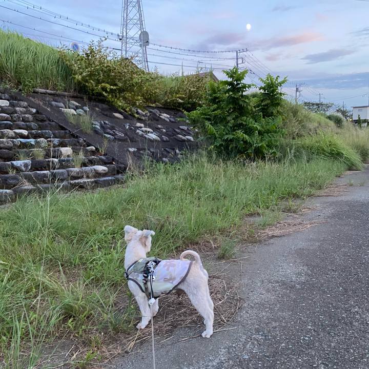 F5dfa69e 05b8 4328 af23 a9899ceaea3f 1726398327562