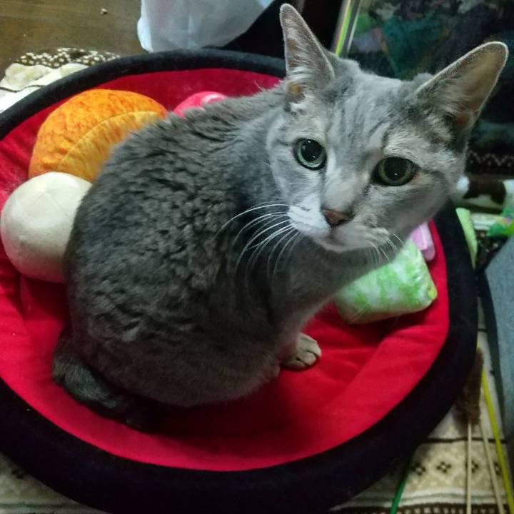 F5dfb20e 7a28 435d 83c8 19d0b87e5408 1680210549963