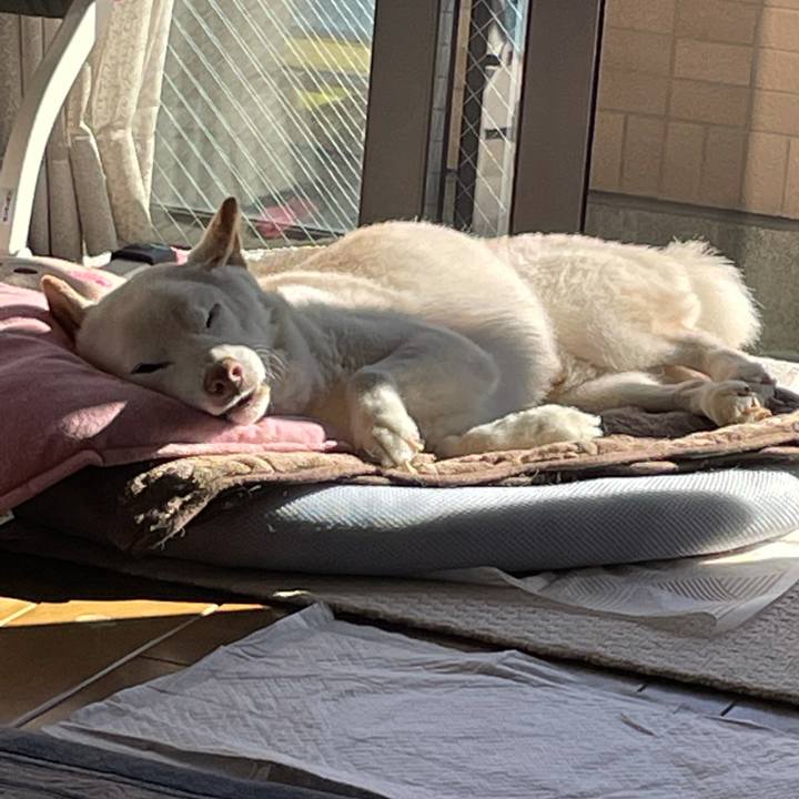 F5dff51d 644a 498f a561 e83d20b2ec30 1638076368945