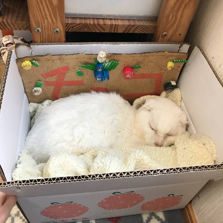 F5dff8b8 6adc 4a09 a57e 346468147aa0 1552463713740