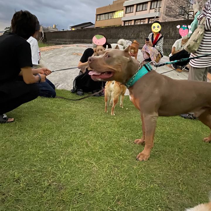 F5dffa60 412f 46b1 afbe 8d72bdd0e45f 1665841290969