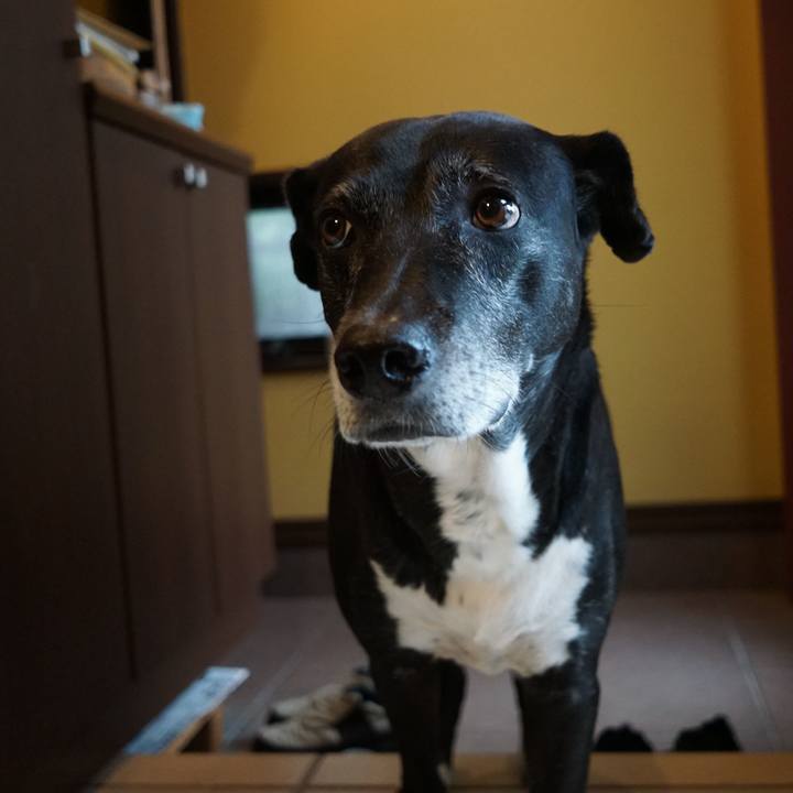 F5e003d6 b743 4c9e 93c4 d2c16ce81f1e 1760834897210