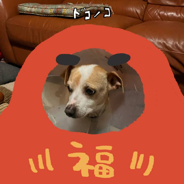 F5e00d50 f09e 40c6 a5d8 83d4ed59adfe 1772029289504