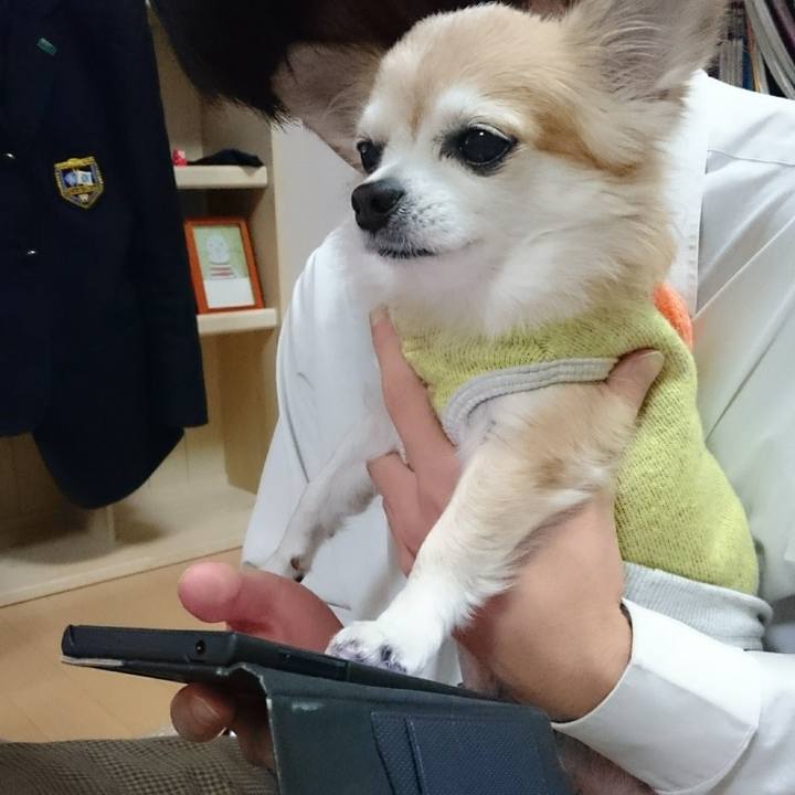 F5e01562 8c0e 4374 9c7d 79f9a0db9a73 1562643119725