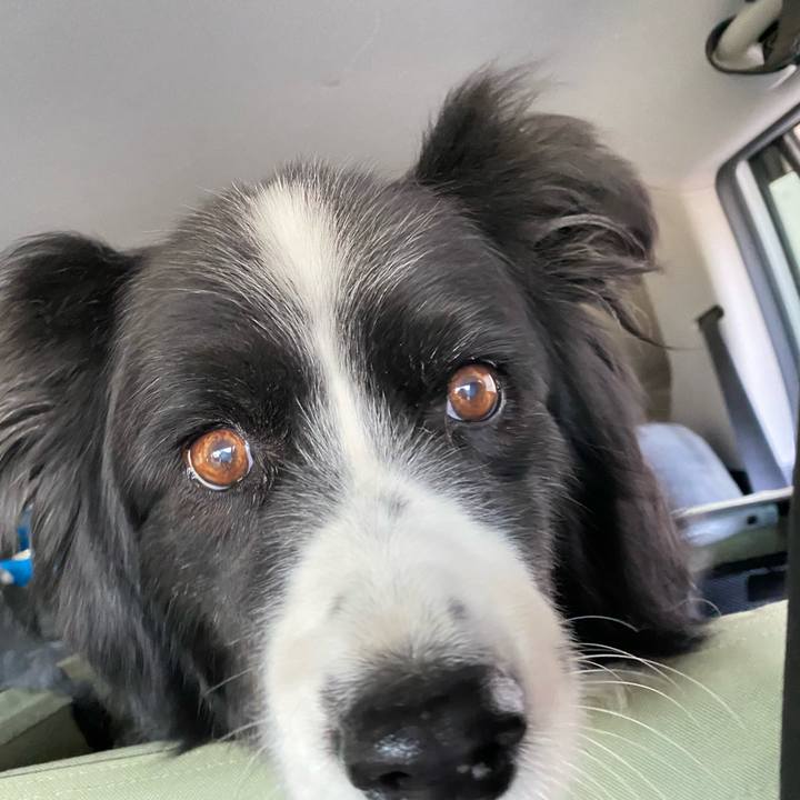 F5e034b0 cccf 4637 b16f fadc02ca62f3 1654293996277