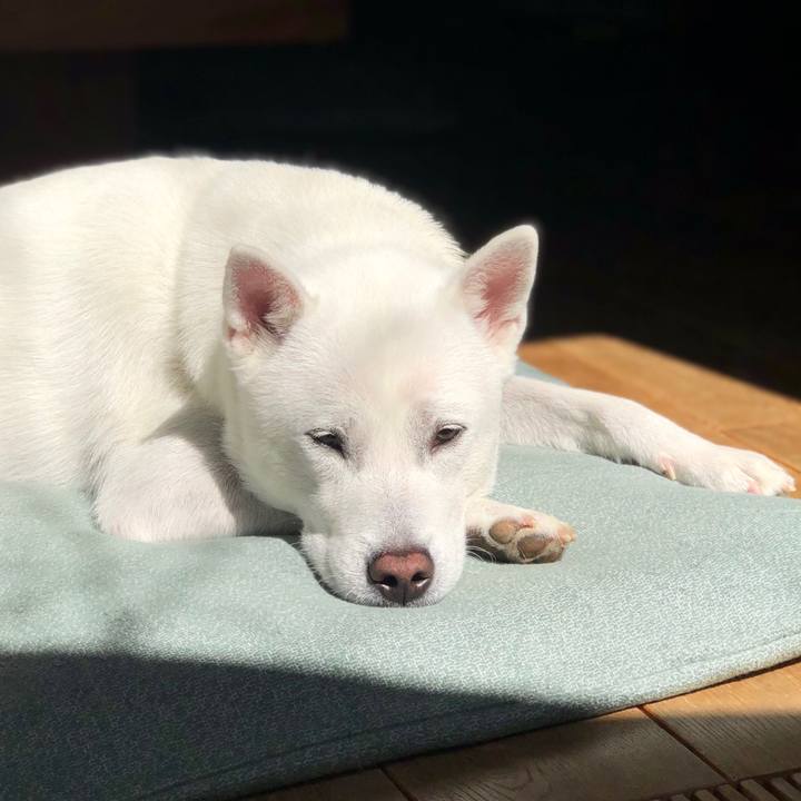 F5e037db 406f 4868 ac18 a6476ee54426 1583986001697