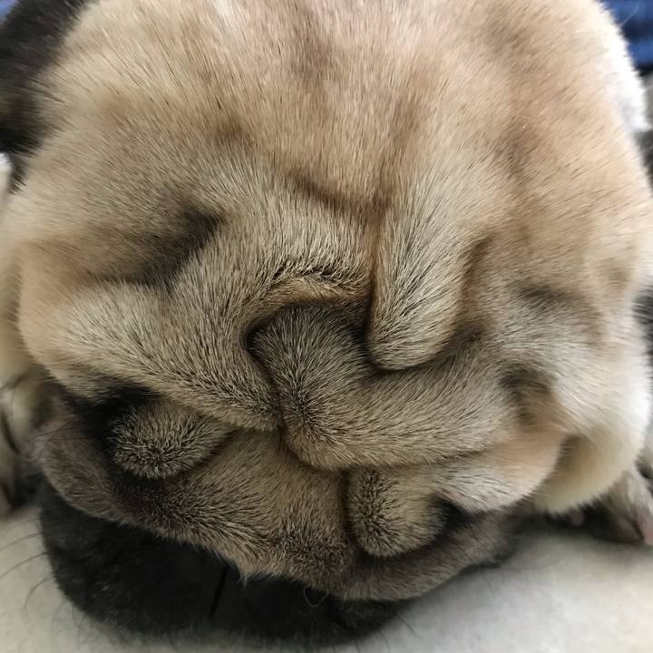 F5e055a1 cfee 4859 b47c 8efe23a17cb3 1586152132292