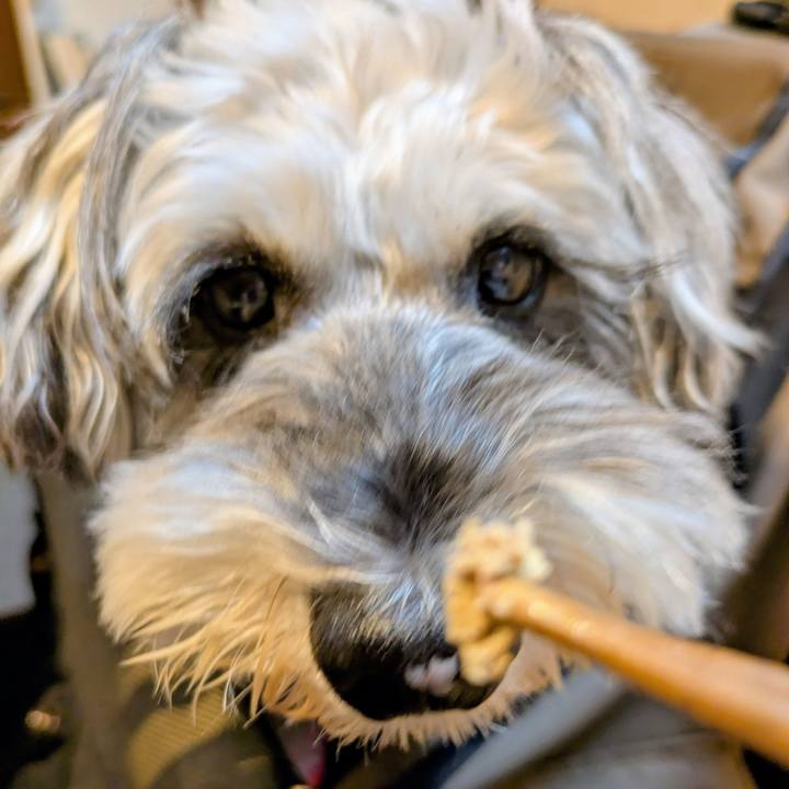 F5e09429 4301 455f 811e d13fc3bc95e3 1760358687438