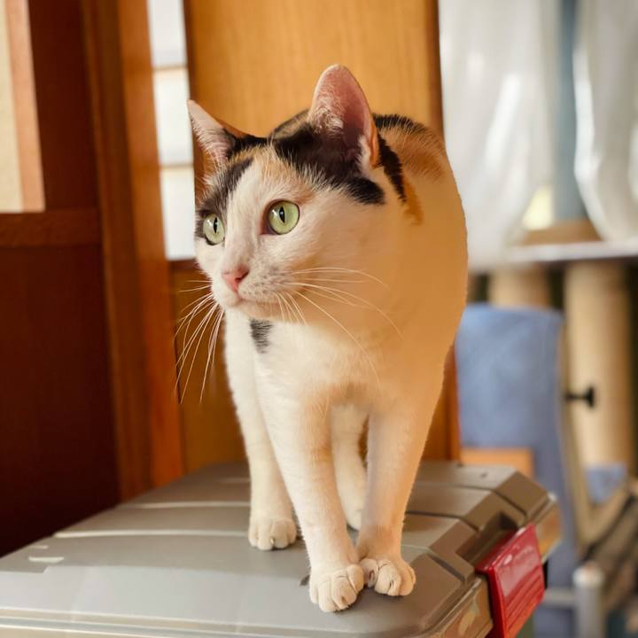 F5e09601 6581 4366 ae9a 6a13a27cd580 1631844108160