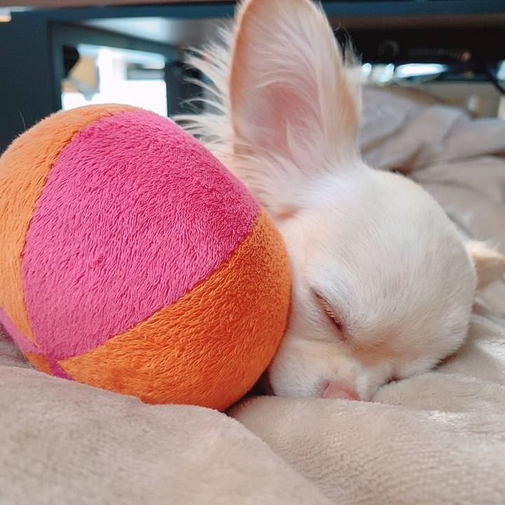 F5e0ac87 48cc 40f4 bc81 6d7a1281a2df 1619492504561