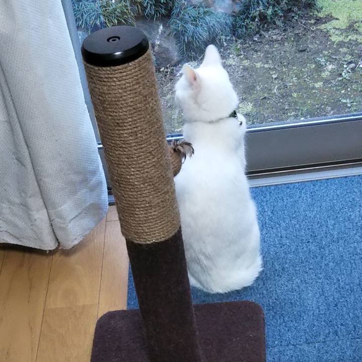 F5e0c5c3 077c 4f3e 83d6 02d503d965b0 1640824588925