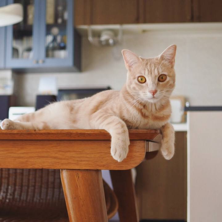 F5e11262 0e36 45b8 a9a2 57b7cc0e9646 1567051178728