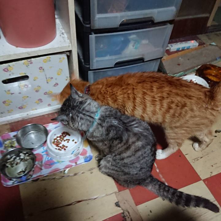 F5e1166c 3a04 438e b309 d8d4622afc06 1566503686678