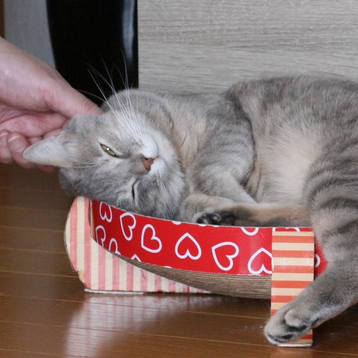 F5e153d6 9715 472f a008 35f34a049e4c 1542952033118