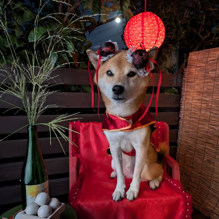 F5e17cd3 00cf 407b b74b 58f933c9c6e4 1726568584791