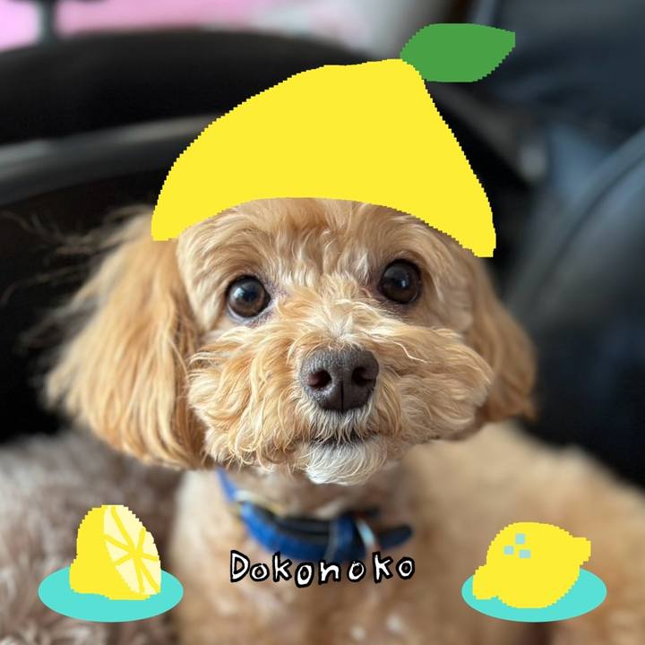 F5e183a5 fc52 480d a760 90b0d2f09e79 1741258113556