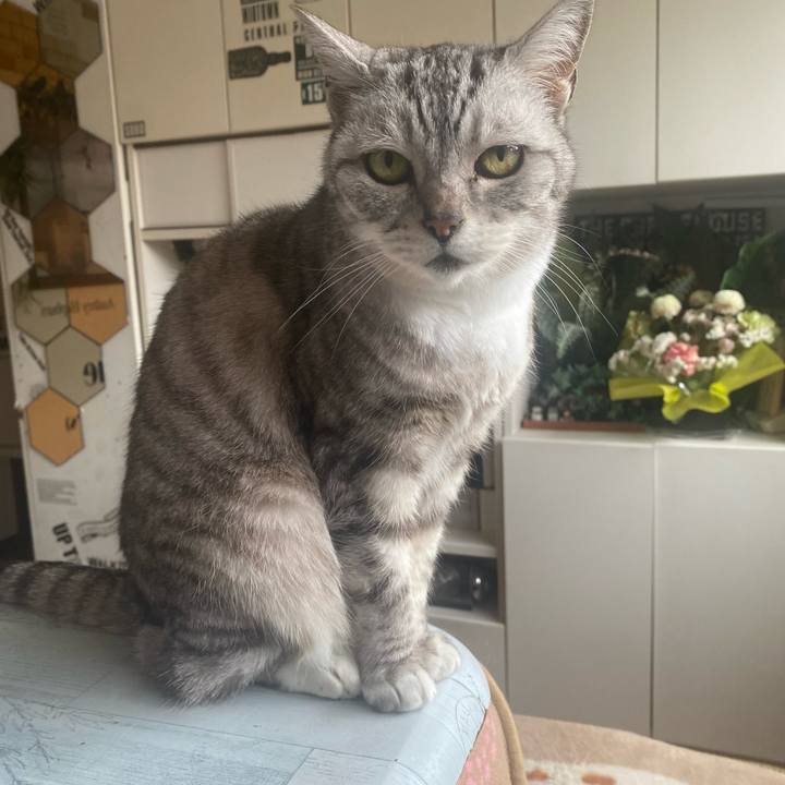 F5e1a211 094b 4f57 9df7 8a8912d07b41 1744249535161