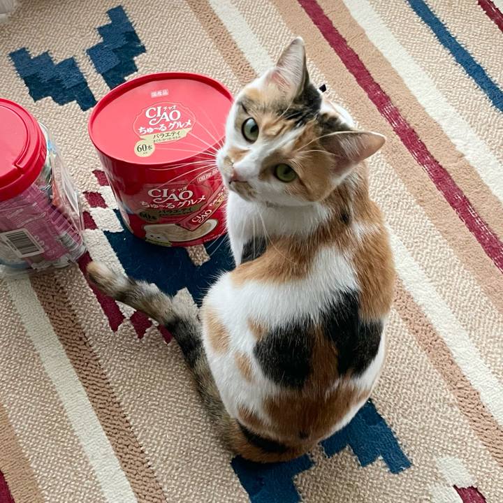 F5e1cfd8 b359 44ec 84b4 26a4d0828975 1666655415249