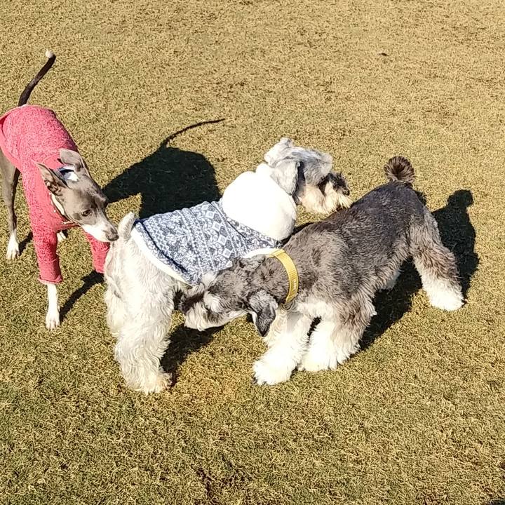 F5e204f2 8cec 4b06 88eb 986e825b84f4 1575773576414