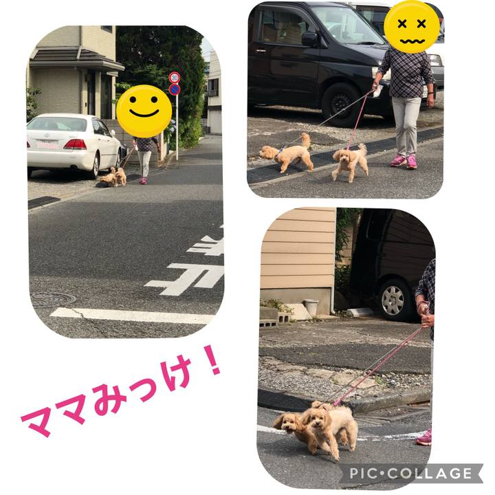 F5e20d8c 6d3f 4769 9462 730dba52d1b1 1622270806586