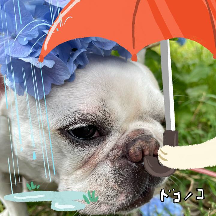 F5e21967 81e9 41cc 99b2 dbe193a31f93 1749460137905