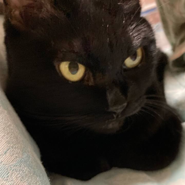 F5e2770a ac4b 4101 9a01 f054e82344d0 1762602410594