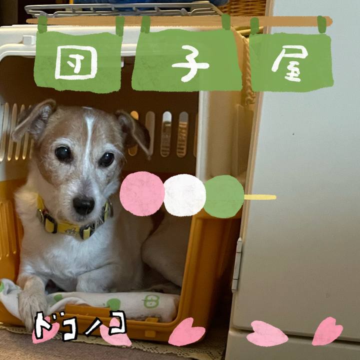 F5e27b0b 6efa 4972 a4e7 0255f6cdd8bd 1712233466658