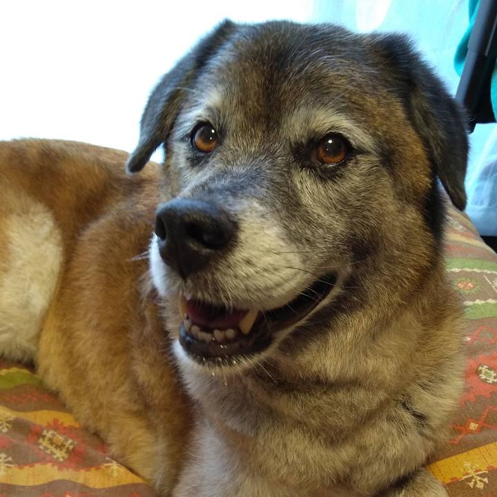 F5e29db6 06e7 4408 8a29 8691a267cb56 1565861964114