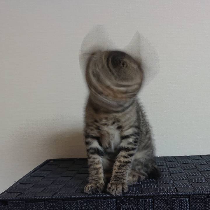 F5e29fc5 7fd2 449c b903 2cdecd78d90d 1560835885237