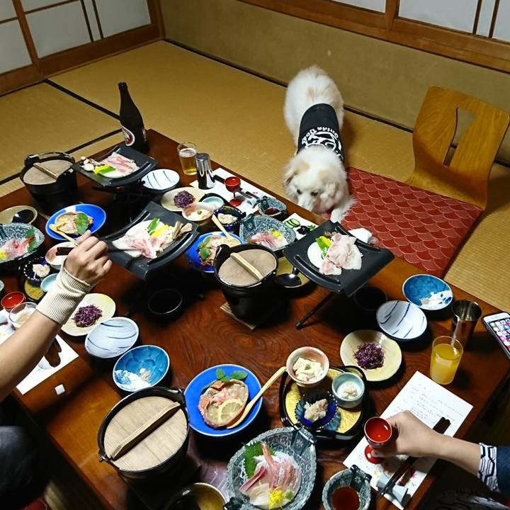 F5e2c40a 54b0 46de 82e4 5776bf5038e1 1508925769691