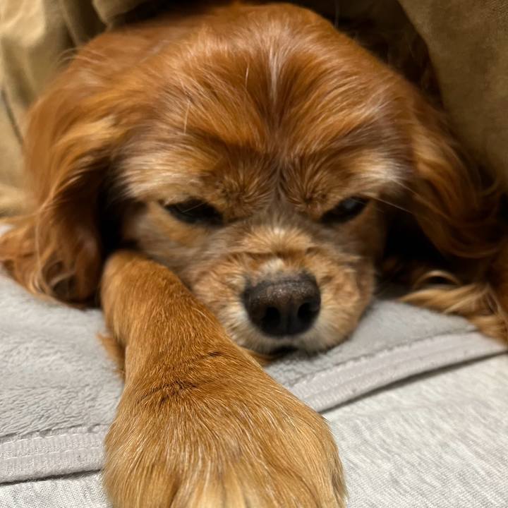 F5e2cc1e d385 41dd 9953 5f784f83e784 1773613426996