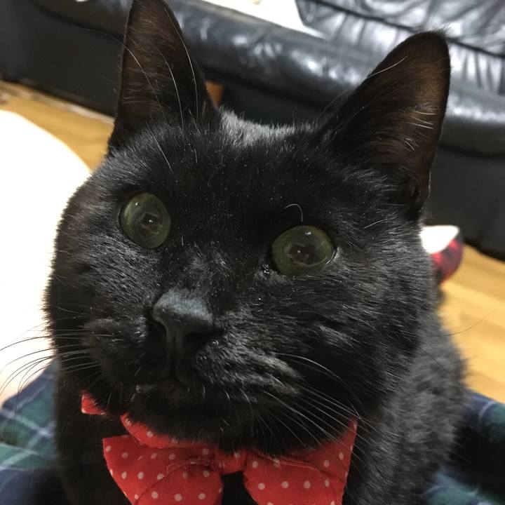 F5e2f841 6de1 4e8c a995 7cccd7cd97dd 1549227422375