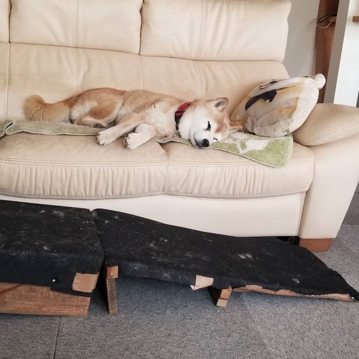 F5e303c0 18d6 42ba 9103 a6e326e31b05 1773460900235