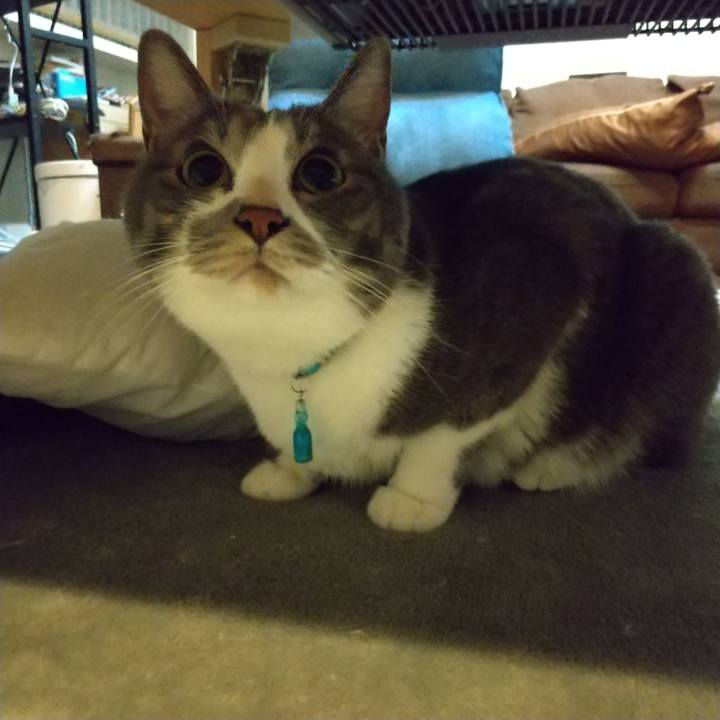 F5e31b8b 4157 4048 818a f25f19af5373 1650640075488