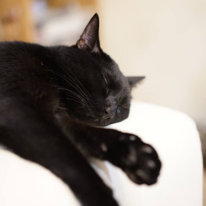 F5e31d37 172f 4af1 ab48 80599eec96eb 1568558434014