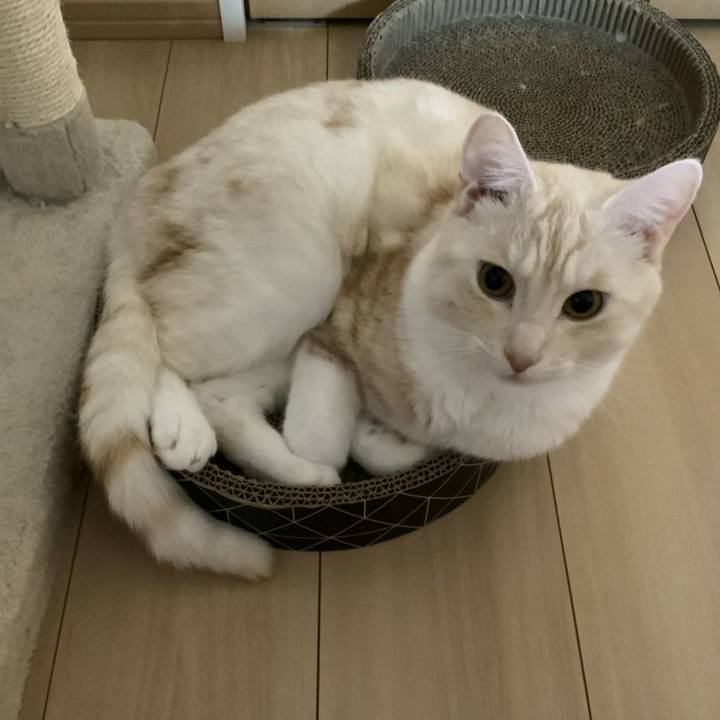 F5e32a38 85da 4cc3 ad5b c607bce5ca86 1661823681559