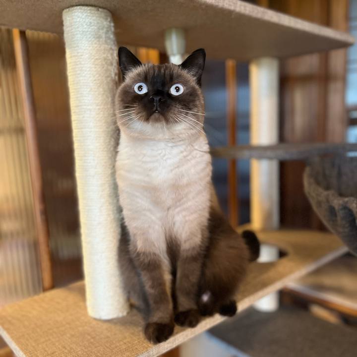 F5e33eb5 cf04 4337 8b3c aed55817aab1 1633302510267