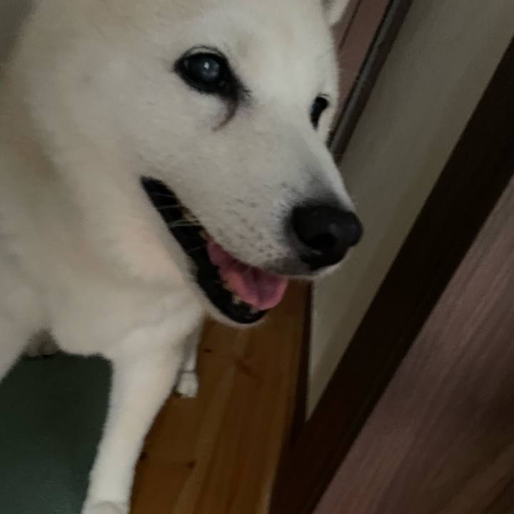 F5e34e33 8280 4da5 aa84 06a9a093199d 1688648718793