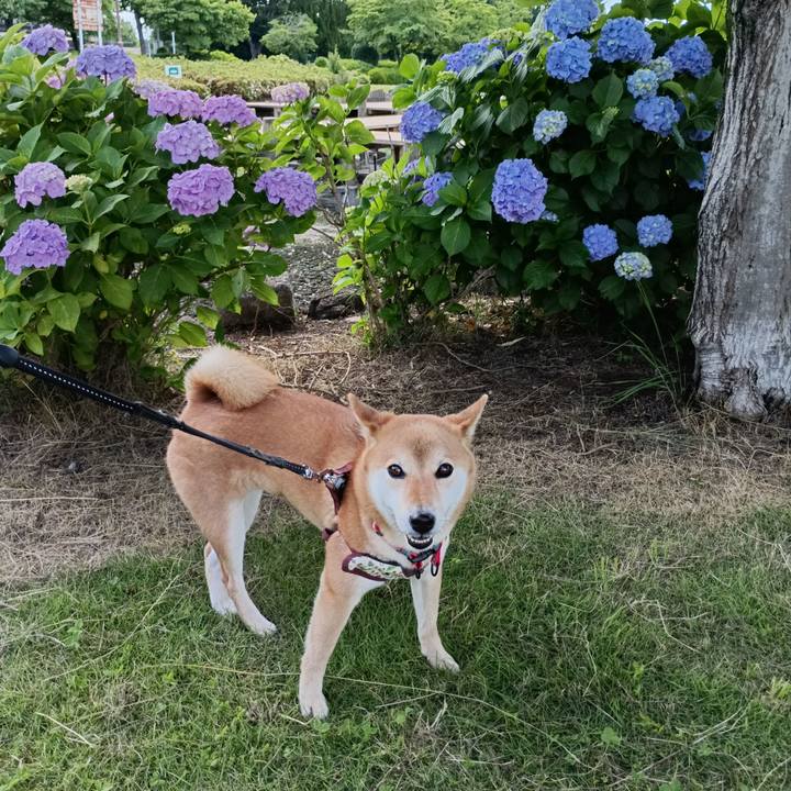 F5e3aad2 270c 488b 808d 23cd18011976 1749965021605