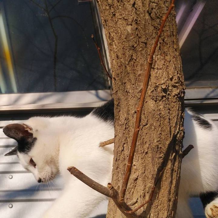 F5e3b873 ade6 4c37 a23a b01624c7e1d4 1579481888772