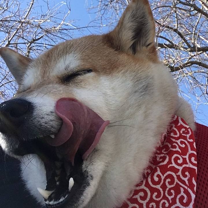 F5e42b94 7c1a 41ef bc5a 3ac4984d65c2 1585127271683