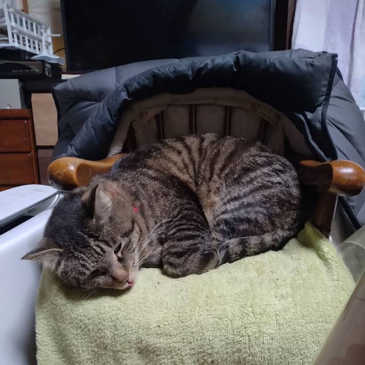 F5e43411 375a 4e8c be61 4d3c66675663 1683498282445