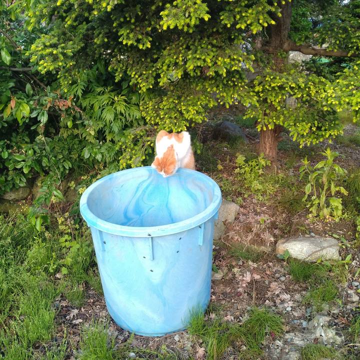 F5e4364a 9d1d 4fdc b269 3ad7658c0f11 1747968517022