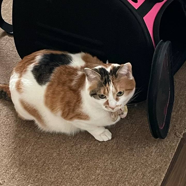 F5e47240 465c 4277 94fb 80dac5973832 1647651831180