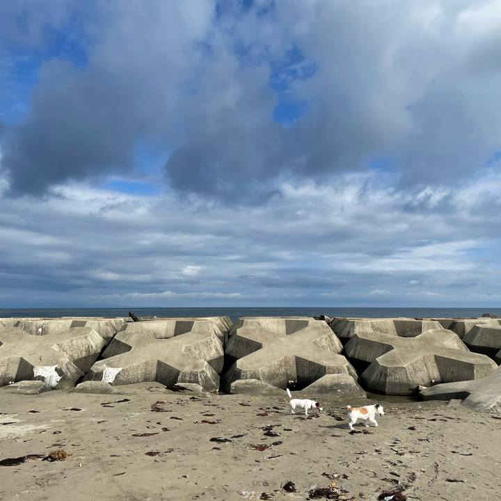 F5e472a7 b8a4 4c50 a9a9 fa78d40b968c 1656890668565